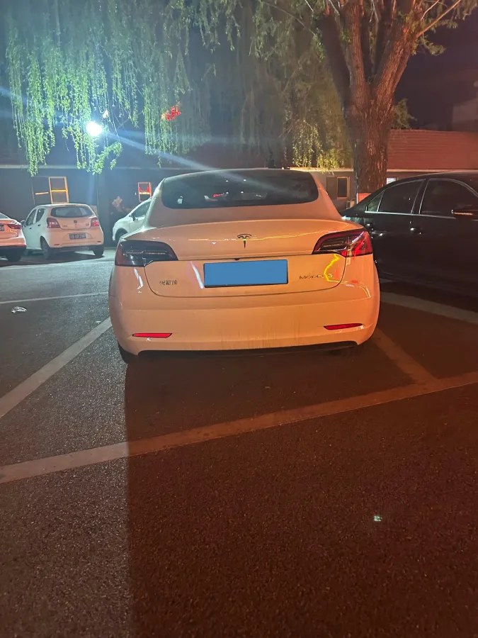2022 Tesla Model 3 BEV 60KWH,autocango,china used car exporter,china ev exporter,chinese used car exporter,chinese used ev exporter