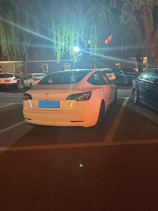 2022 Tesla Model 3 BEV 60KWH,autocango,china used car exporter,china ev exporter,chinese used car exporter,chinese used ev exporter