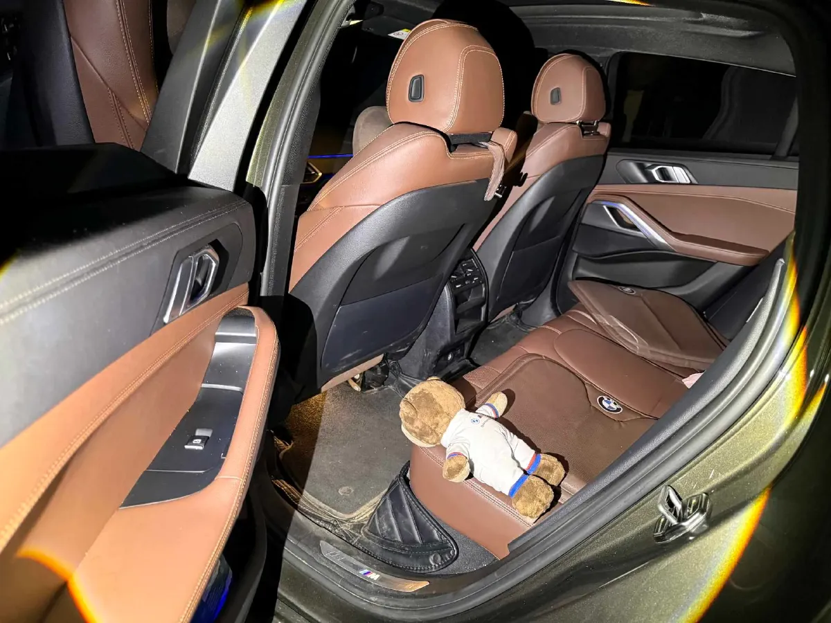 2022 BMW X6 2.0T 265HP L4 8AT,autocango,china used car exporter,china ev exporter,chinese used car exporter,chinese used ev exporter