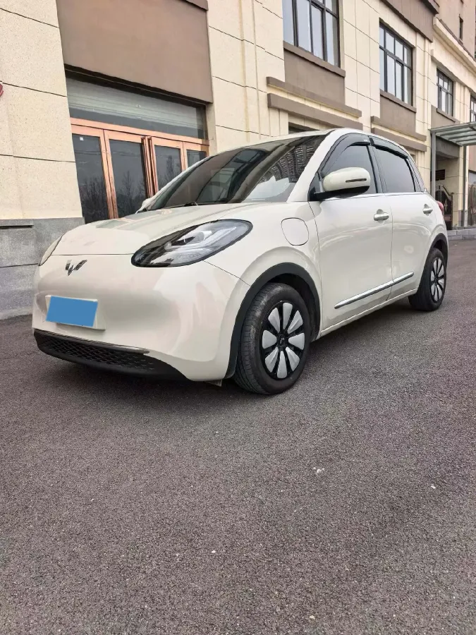 2023 WuLing BinGuo BEV 31.9KWH,autocango,china used car exporter,china ev exporter,chinese used car exporter,chinese used ev exporter