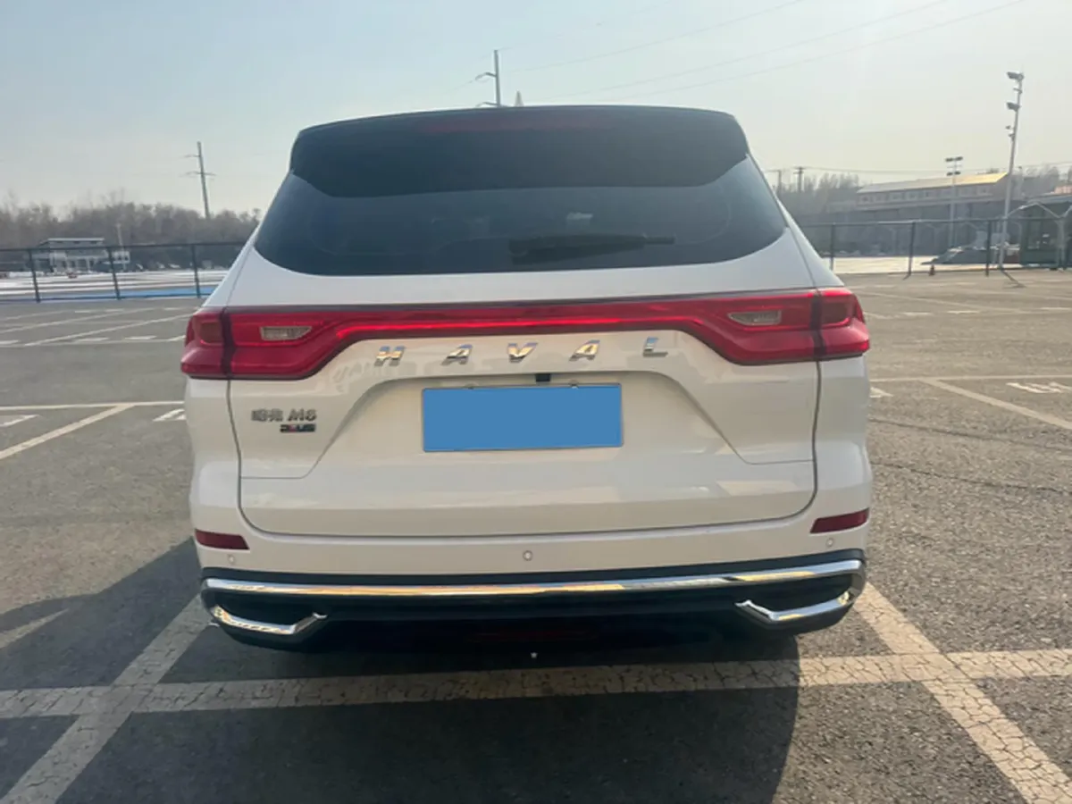 2022 Chery Little Ant BEV 40.6KWH,autocango,china used car exporter,china ev exporter,chinese used car exporter,chinese used ev exporter