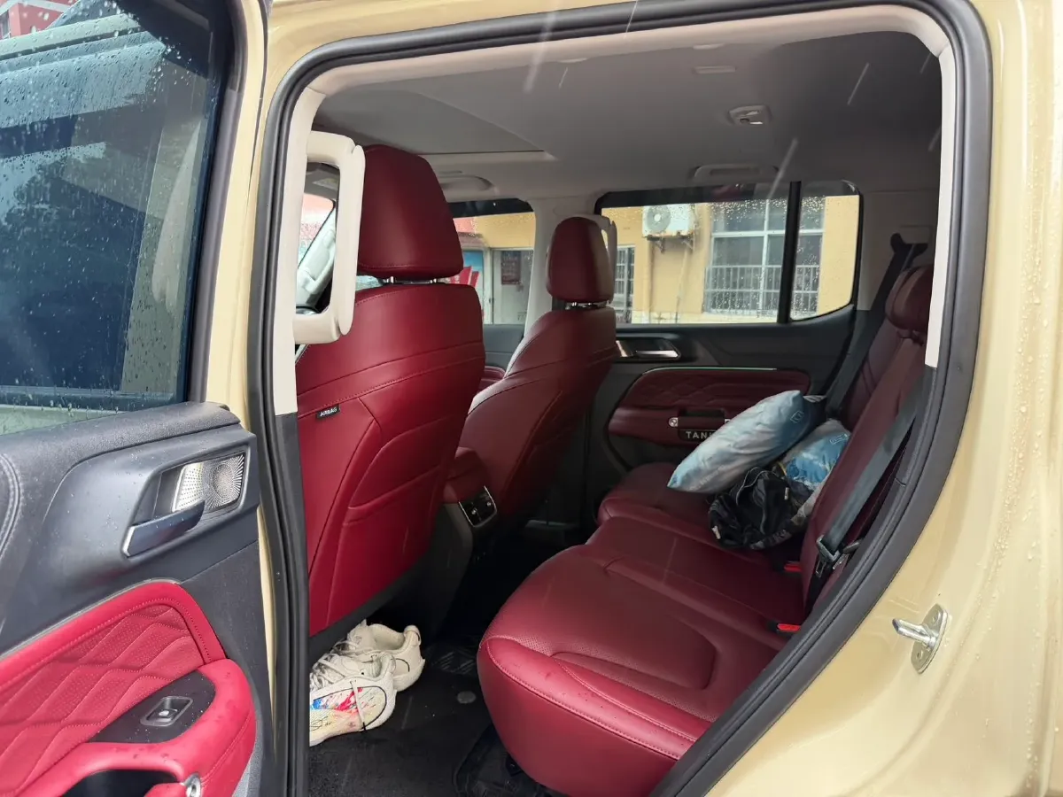 2025 Tank 300 2.0T 227HP L4 9AT,autocango,china used car exporter,china ev exporter,chinese used car exporter,chinese used ev exporter