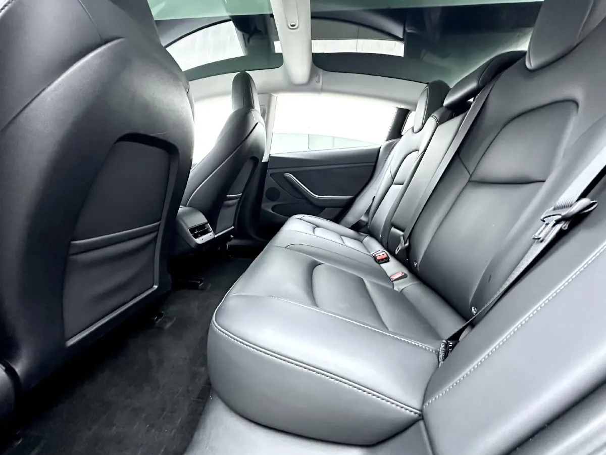 2022 Tesla Model 3 BEV 60KWH,autocango,china used car exporter,china ev exporter,chinese used car exporter,chinese used ev exporter