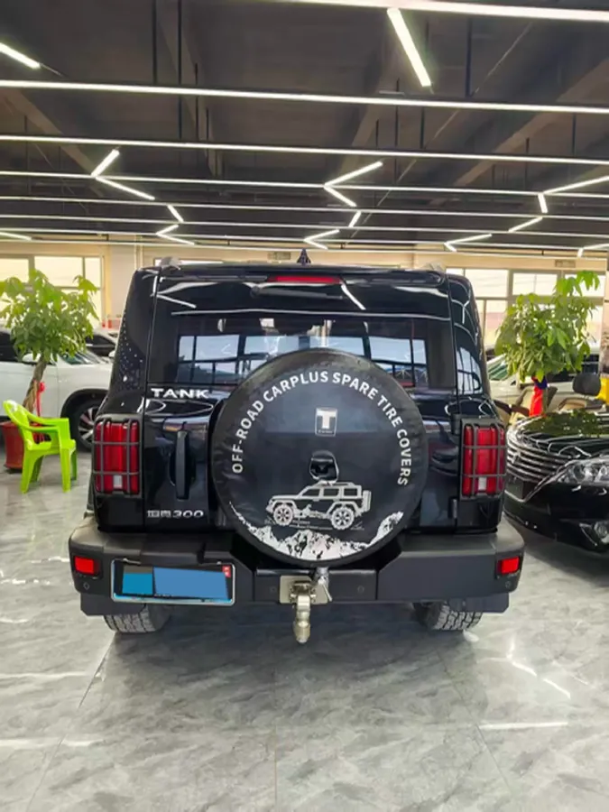 2021 Tank 300 2.0T 227HP L4 8AT,autocango,china used car exporter,china ev exporter,chinese used car exporter,chinese used ev exporter