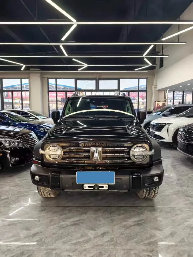 2021 Tank 300 2.0T 227HP L4 8AT,autocango,china used car exporter,china ev exporter,chinese used car exporter,chinese used ev exporter