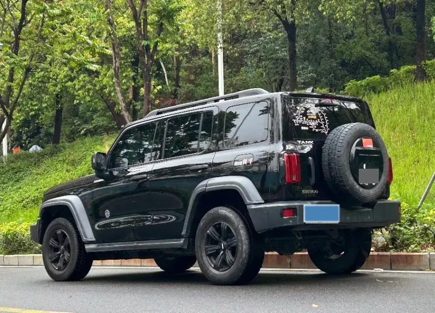 2021 Tank 300 2.0T 227HP L4 8AT,autocango,china used car exporter,china ev exporter,chinese used car exporter,chinese used ev exporter