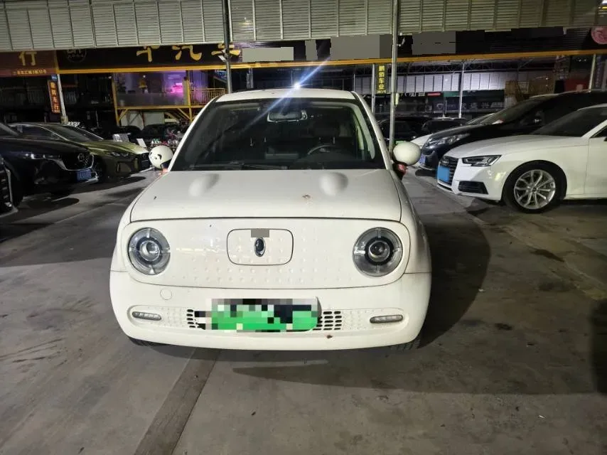 2019 Ora BlackCat BEV 33KWH,autocango,china used car exporter,china ev exporter,chinese used car exporter,chinese used ev exporter