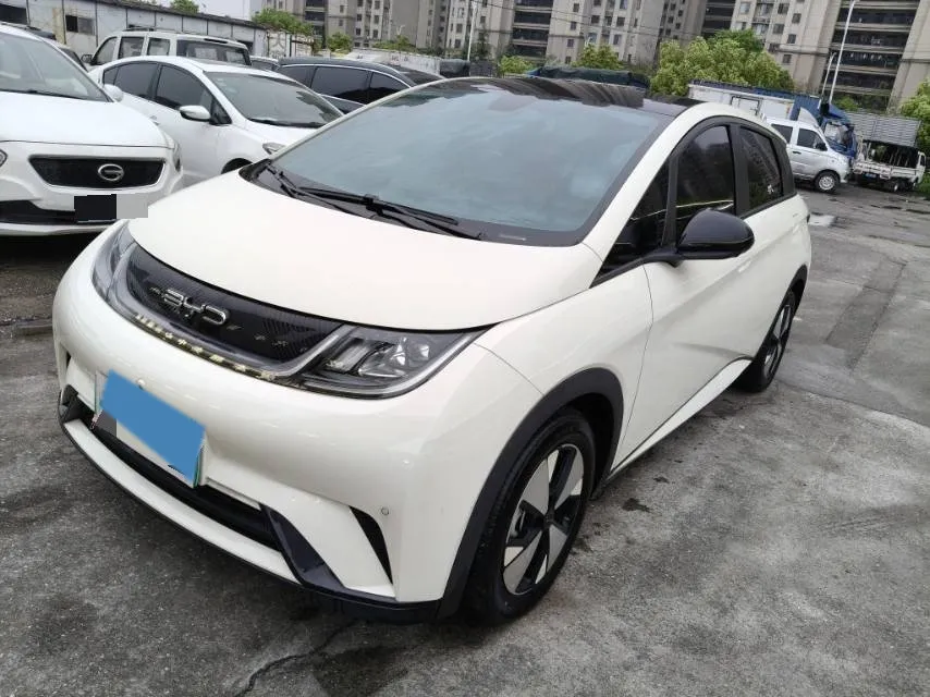 2023 BYD Dolphin BEV 44.928KWH