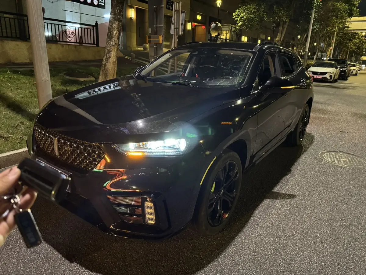 2020 WEY VV7 2.0T 227HP L4 7DCT,autocango,china used car exporter,china ev exporter,chinese used car exporter,chinese used ev exporter