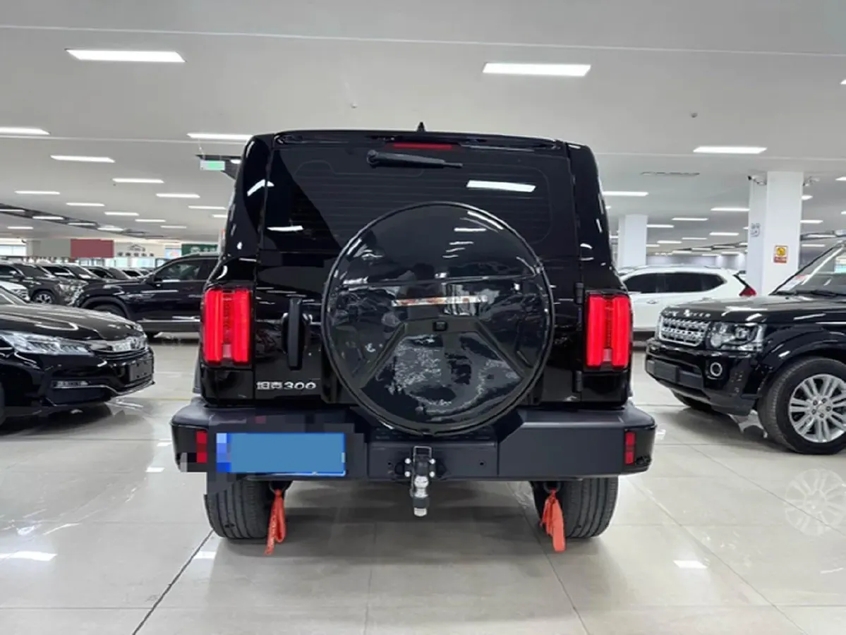 2024 Tank 300 2.0T 227HP L4 8AT,autocango,china used car exporter,china ev exporter,chinese used car exporter,chinese used ev exporter