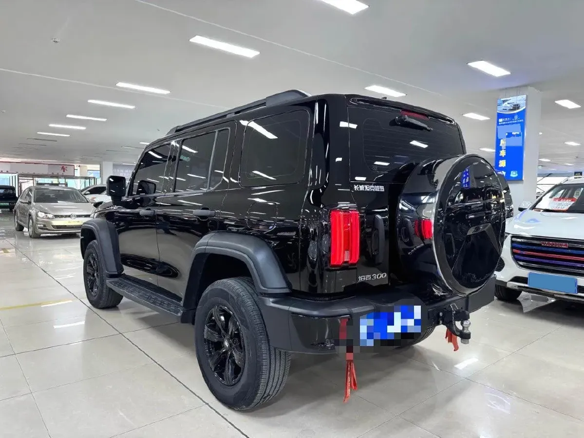 2024 Tank 300 2.0T 227HP L4 8AT,autocango,china used car exporter,china ev exporter,chinese used car exporter,chinese used ev exporter