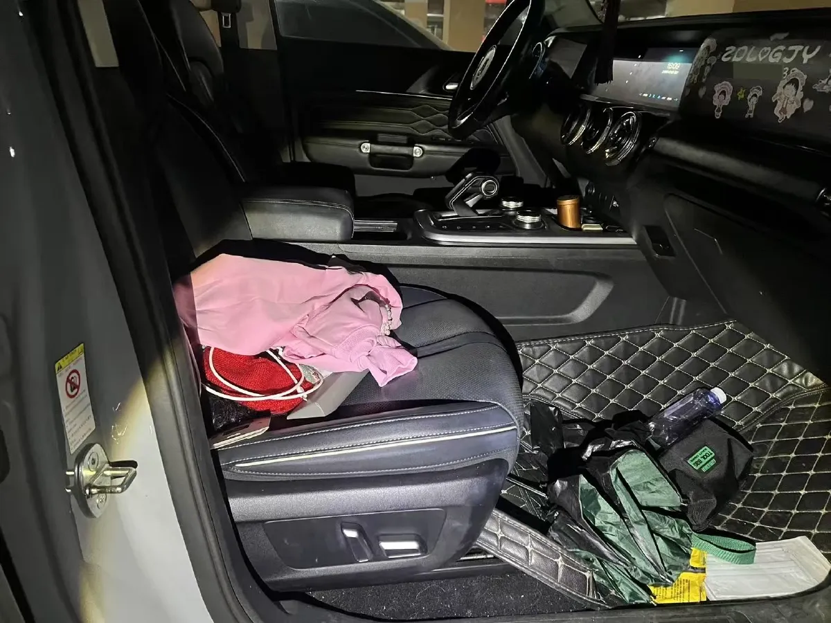 2023 Tank 300 2.0T 227HP L4 8AT,autocango,china used car exporter,china ev exporter,chinese used car exporter,chinese used ev exporter