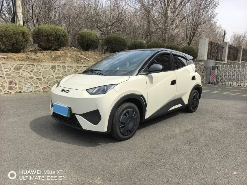 2025 BYD Seagull BEV 30.08KWH,autocango,china used car exporter,china ev exporter,chinese used car exporter,chinese used ev exporter