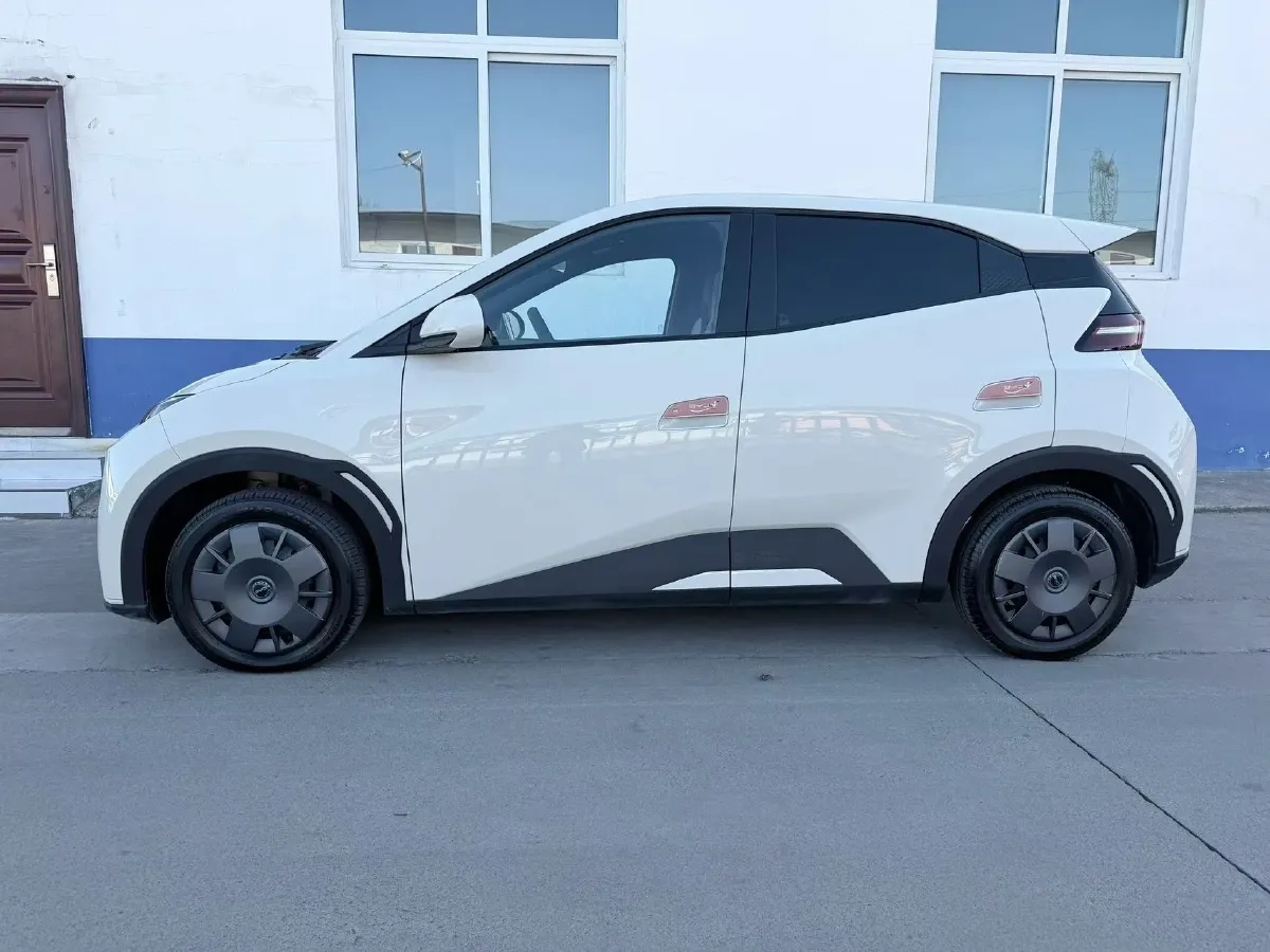2025 BYD Seagull BEV 30.08KWH,autocango,china used car exporter,china ev exporter,chinese used car exporter,chinese used ev exporter