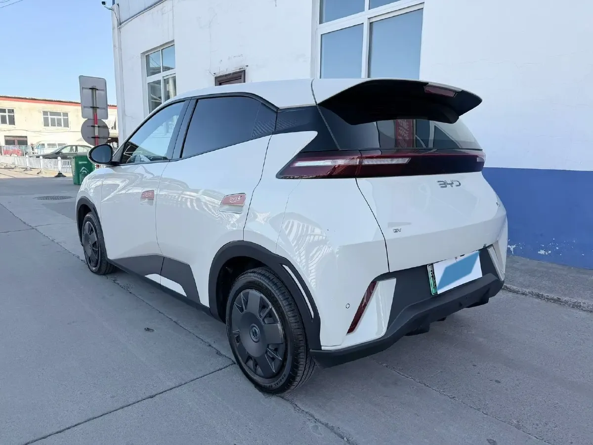 2025 BYD Seagull BEV 30.08KWH,autocango,china used car exporter,china ev exporter,chinese used car exporter,chinese used ev exporter