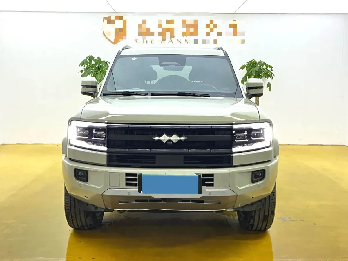 2025 FangChengBao Bao 5 1.5T 194HP L4 E-CVT PHEV 31.8KWH,autocango,china used car exporter,china ev exporter,chinese used car exporter,chinese used ev exporter