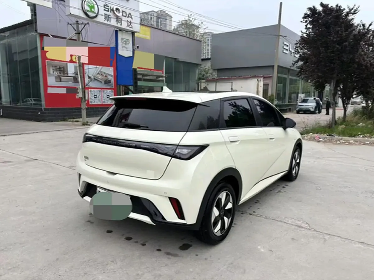2025 BYD Dolphin BEV 44.928KWH,autocango,china used car exporter,china ev exporter,chinese used car exporter,chinese used ev exporter