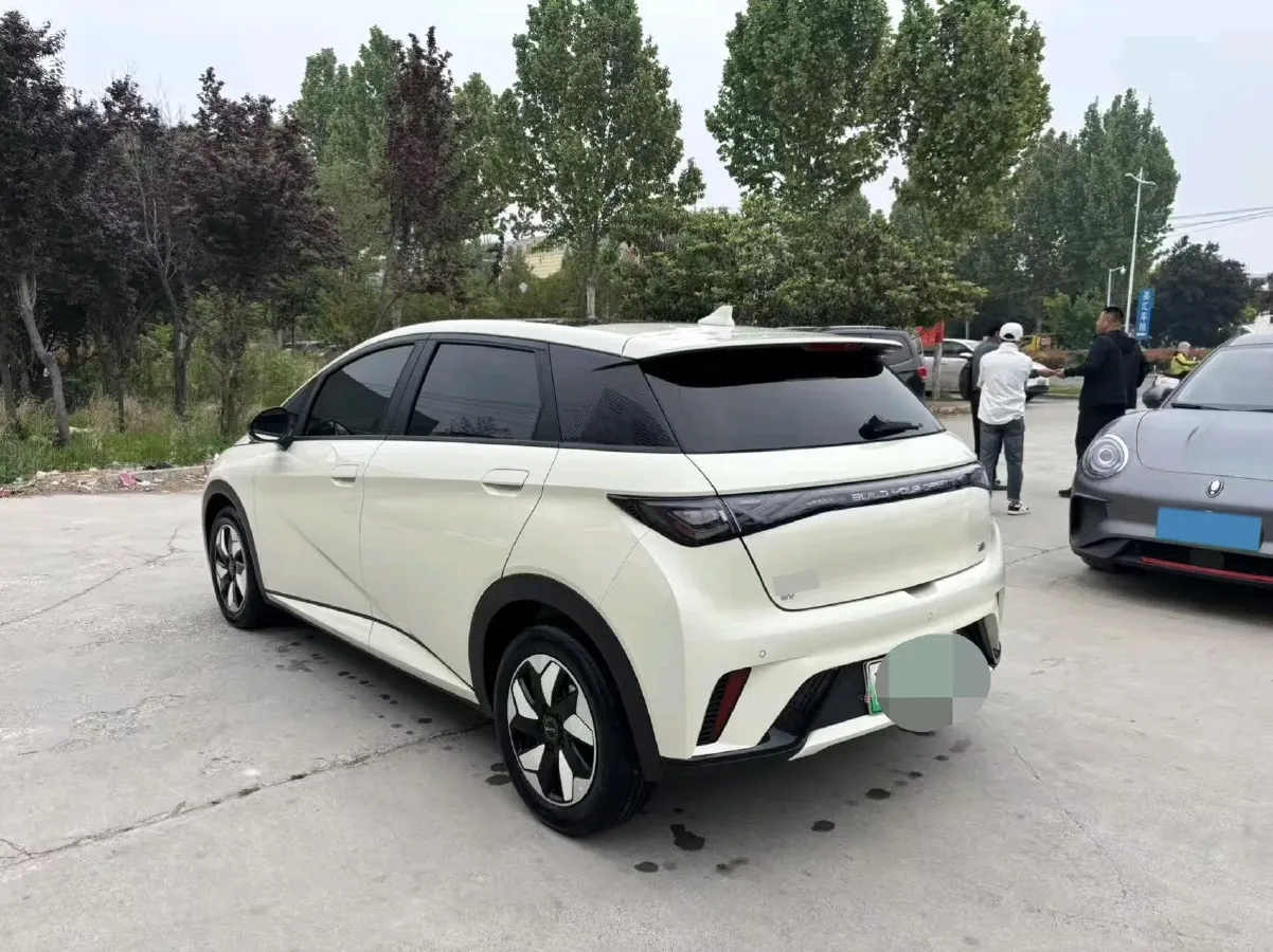 2025 BYD Dolphin BEV 44.928KWH,autocango,china used car exporter,china ev exporter,chinese used car exporter,chinese used ev exporter