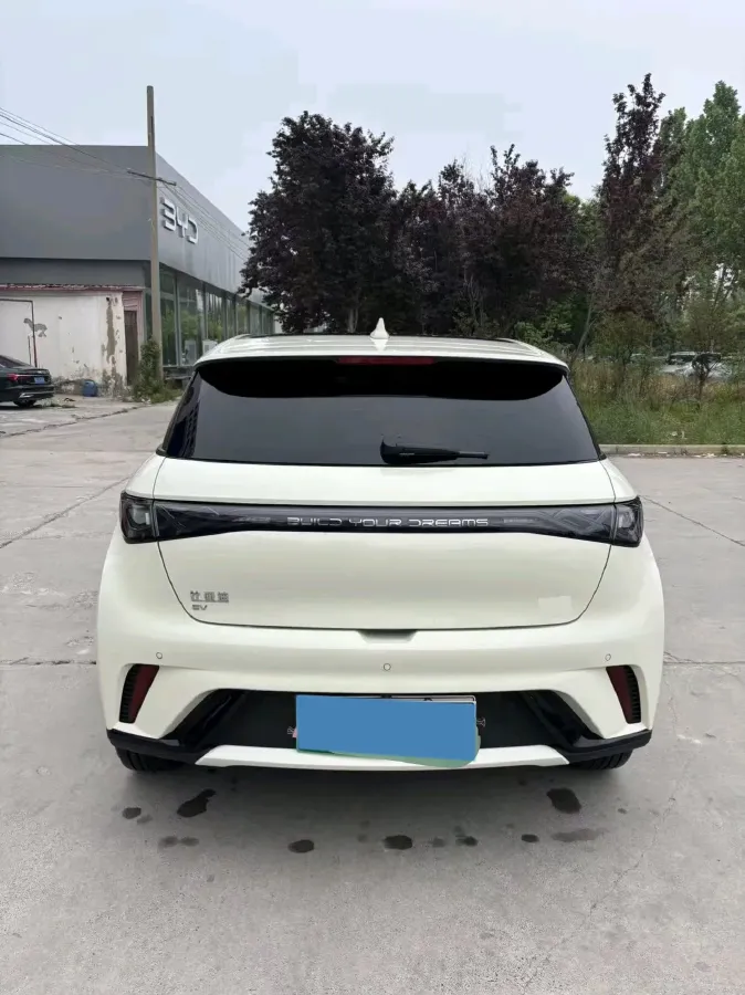 2025 BYD Dolphin BEV 44.928KWH,autocango,china used car exporter,china ev exporter,chinese used car exporter,chinese used ev exporter