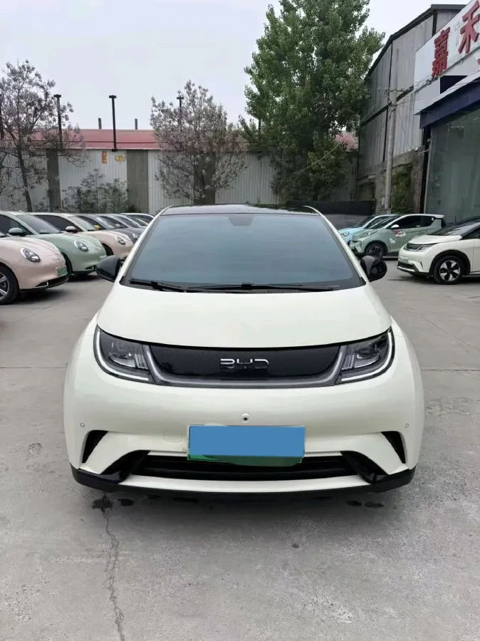 2025 BYD Dolphin BEV 44.928KWH,autocango,china used car exporter,china ev exporter,chinese used car exporter,chinese used ev exporter