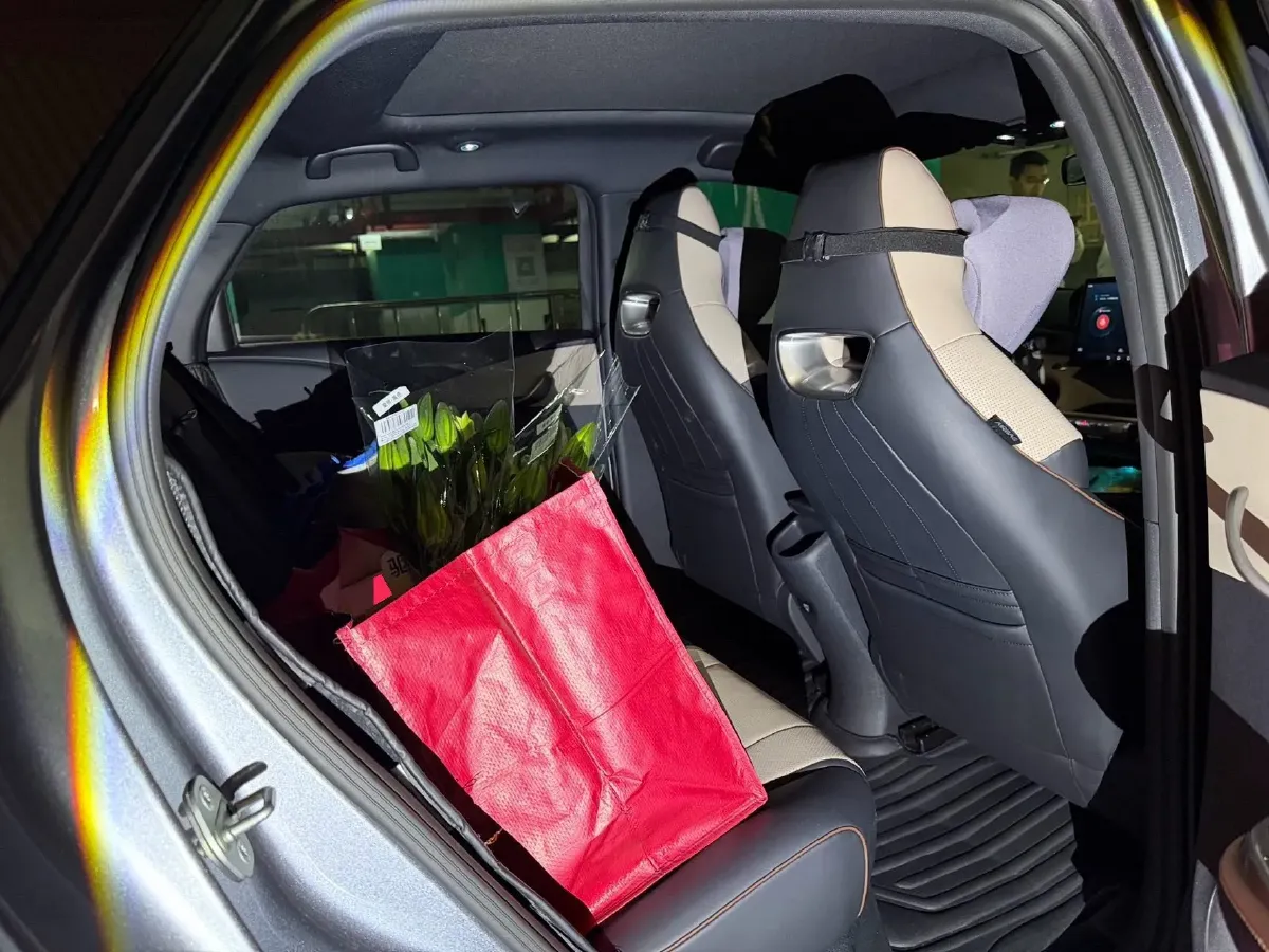 2023 BYD Dolphin BEV 44.928KWH,autocango,china used car exporter,china ev exporter,chinese used car exporter,chinese used ev exporter