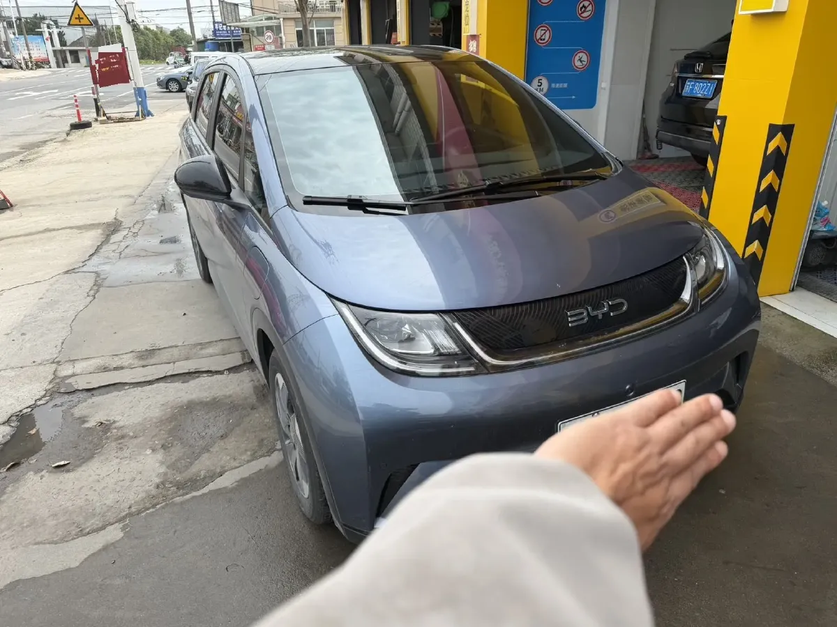 2024 BYD Dolphin BEV 44.928KWH,autocango,china used car exporter,china ev exporter,chinese used car exporter,chinese used ev exporter