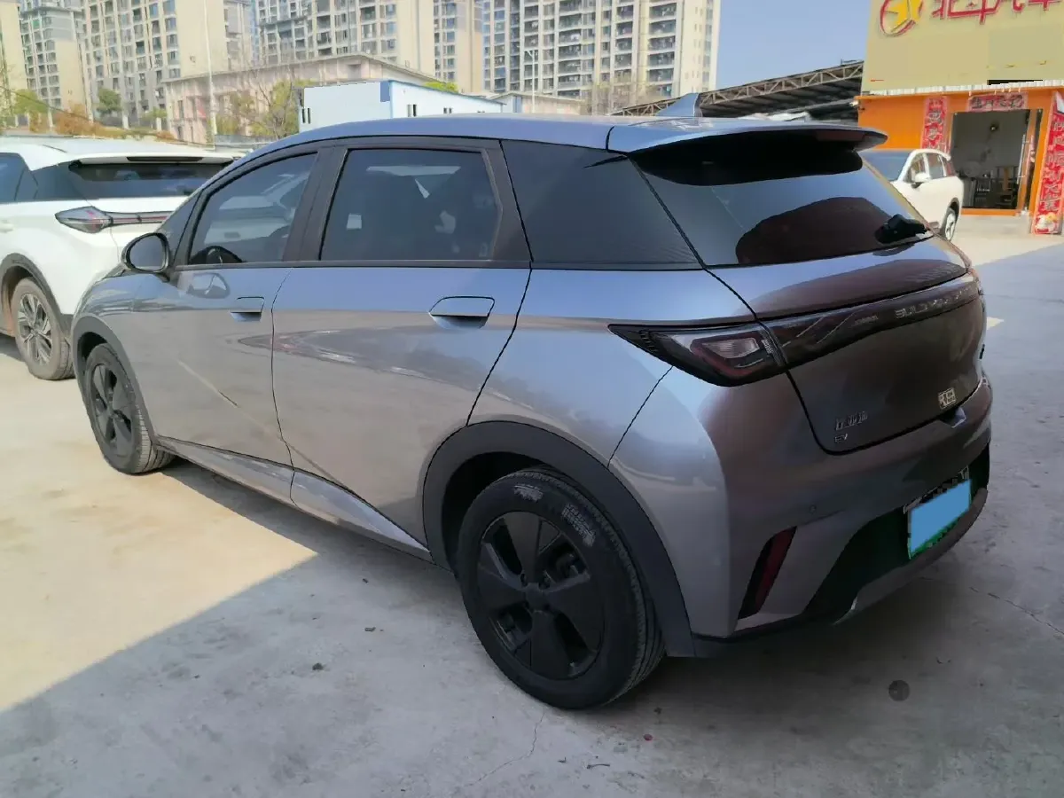2023 BYD Dolphin BEV 44.928KWH,autocango,china used car exporter,china ev exporter,chinese used car exporter,chinese used ev exporter