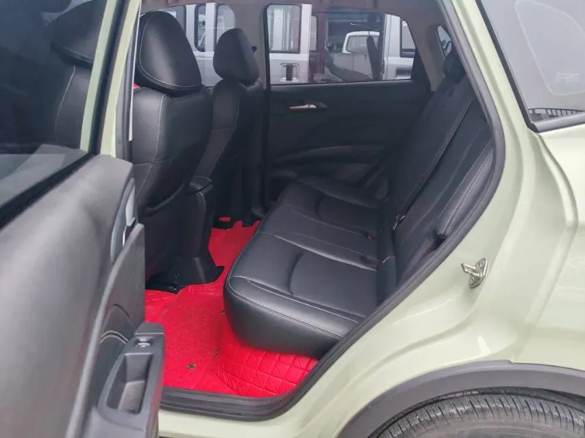 2022 Leapmotor T03 BEV 41KWH,autocango,china used car exporter,china ev exporter,chinese used car exporter,chinese used ev exporter