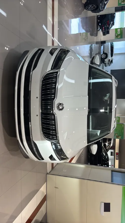 2022 Skoda Karoq 1.4T 150HP L4 7DCT,autocango,china used car exporter,china ev exporter,chinese used car exporter,chinese used ev exporter