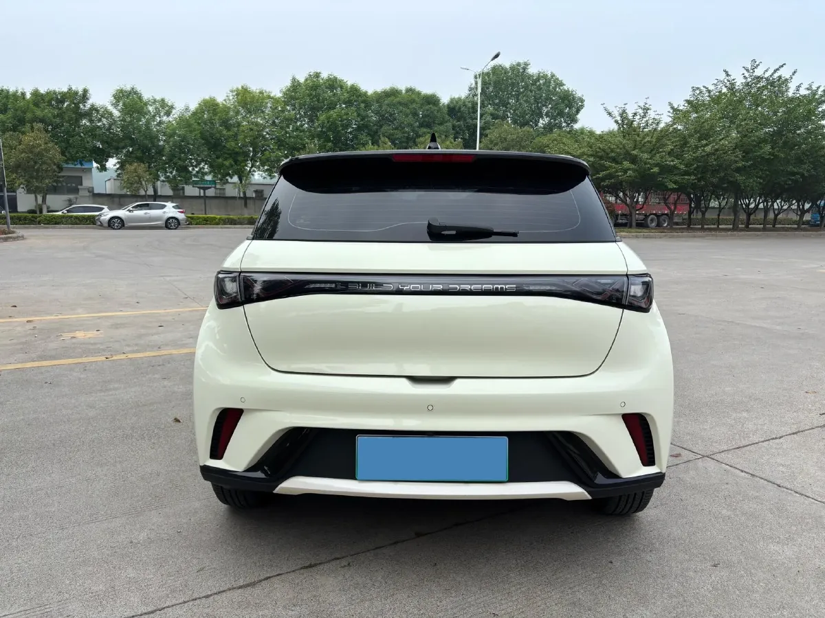 2023 BYD Dolphin BEV 44.928KWH,autocango,china used car exporter,china ev exporter,chinese used car exporter,chinese used ev exporter