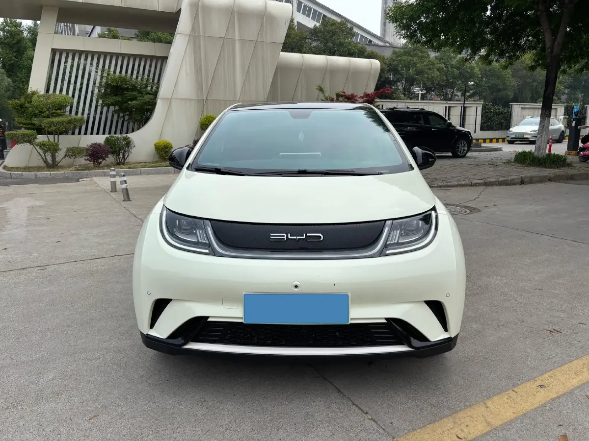 2023 BYD Dolphin BEV 44.928KWH,autocango,china used car exporter,china ev exporter,chinese used car exporter,chinese used ev exporter