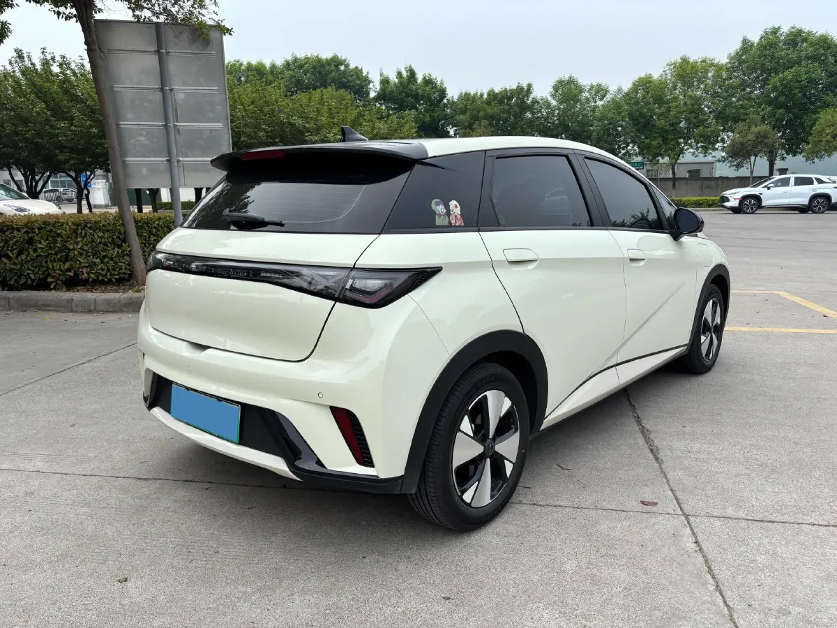 2023 BYD Dolphin BEV 44.928KWH,autocango,china used car exporter,china ev exporter,chinese used car exporter,chinese used ev exporter