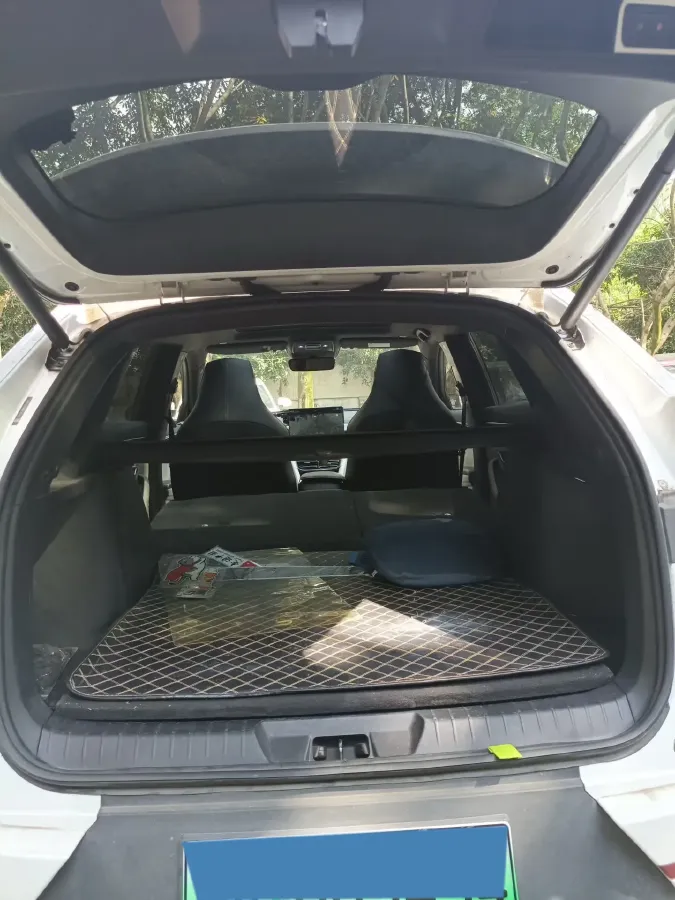 2021 BYD Qin BEV 53.56KWH,autocango,china used car exporter,china ev exporter,chinese used car exporter,chinese used ev exporter