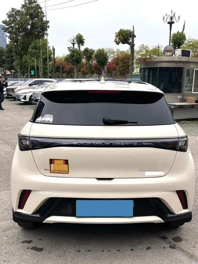 2025 BYD Dolphin BEV 44.928KWH,autocango,china used car exporter,china ev exporter,chinese used car exporter,chinese used ev exporter