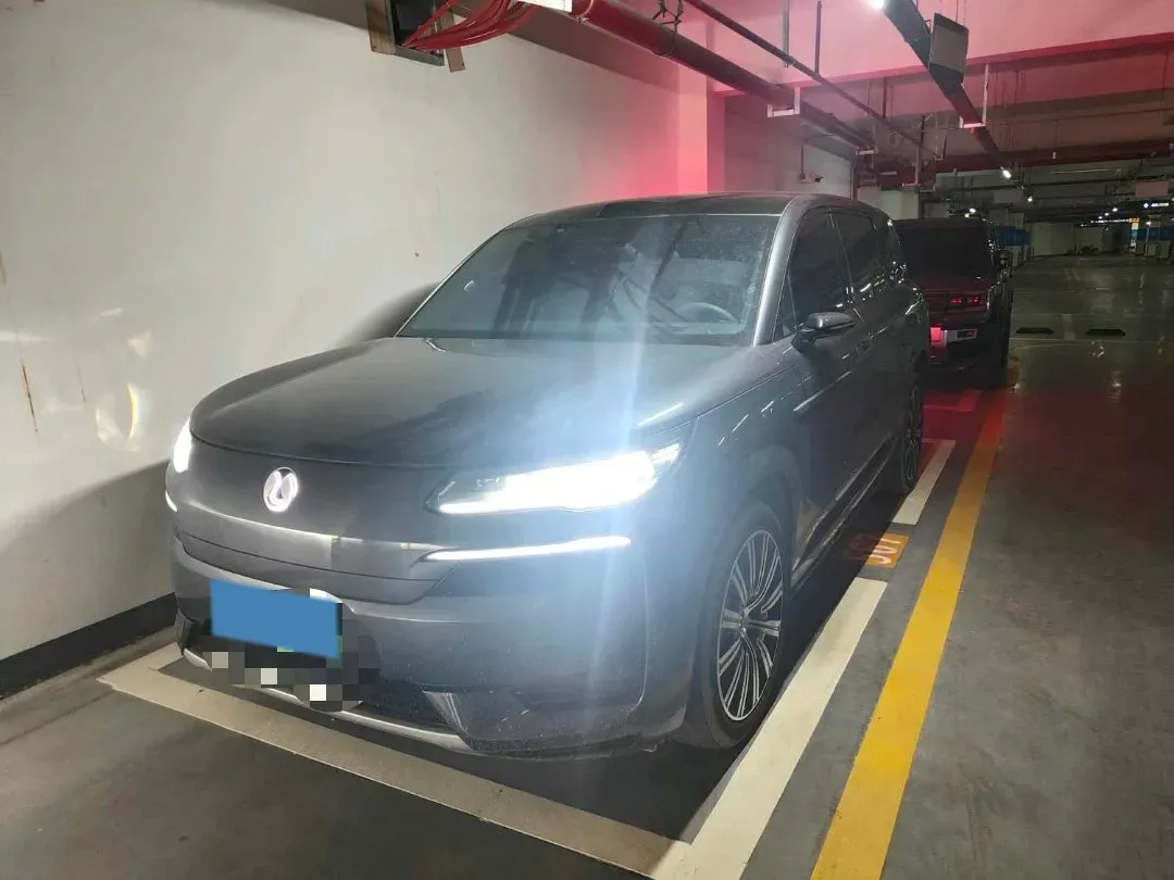 2025 Denza DenzaN9 2.0T 207HP L4 E-CVT PHEV,autocango,china used car exporter,china ev exporter,chinese used car exporter,chinese used ev exporter