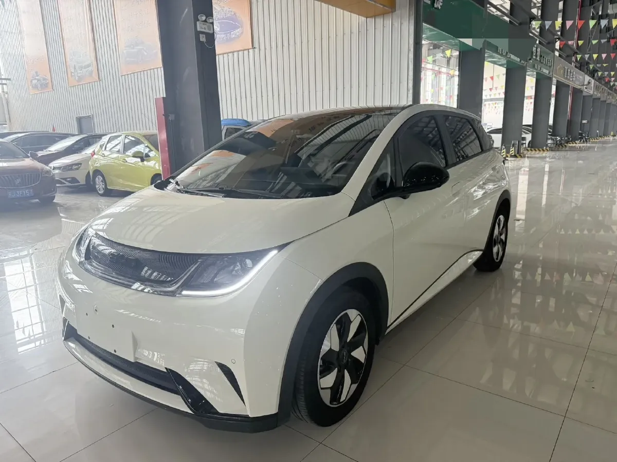 2024 BYD Dolphin BEV 44.928KWH,autocango,china used car exporter,china ev exporter,chinese used car exporter,chinese used ev exporter
