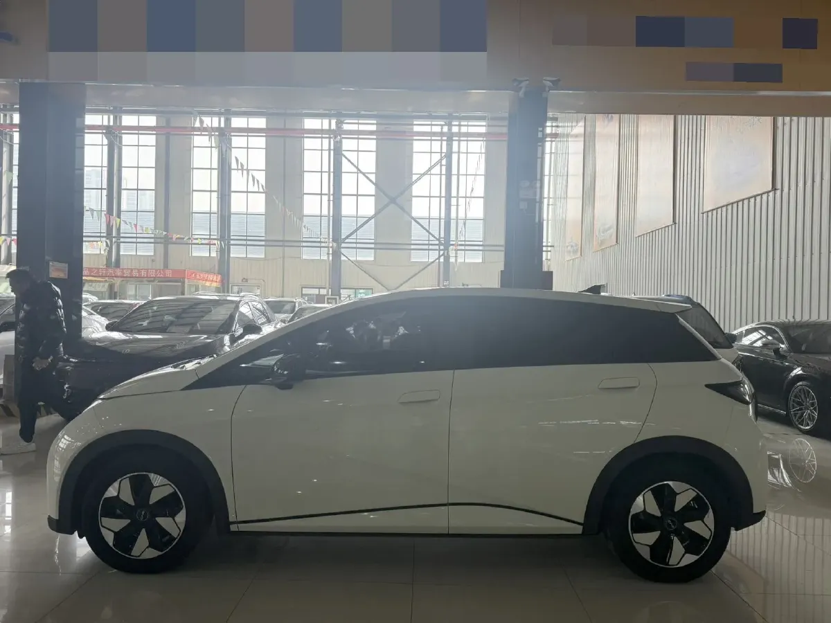 2024 BYD Dolphin BEV 44.928KWH,autocango,china used car exporter,china ev exporter,chinese used car exporter,chinese used ev exporter