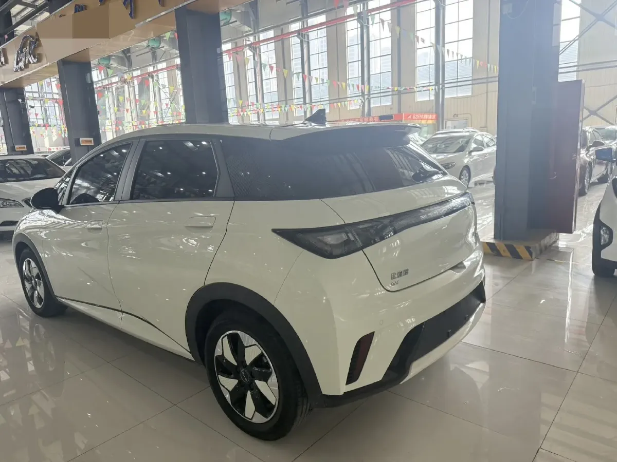 2024 BYD Dolphin BEV 44.928KWH,autocango,china used car exporter,china ev exporter,chinese used car exporter,chinese used ev exporter