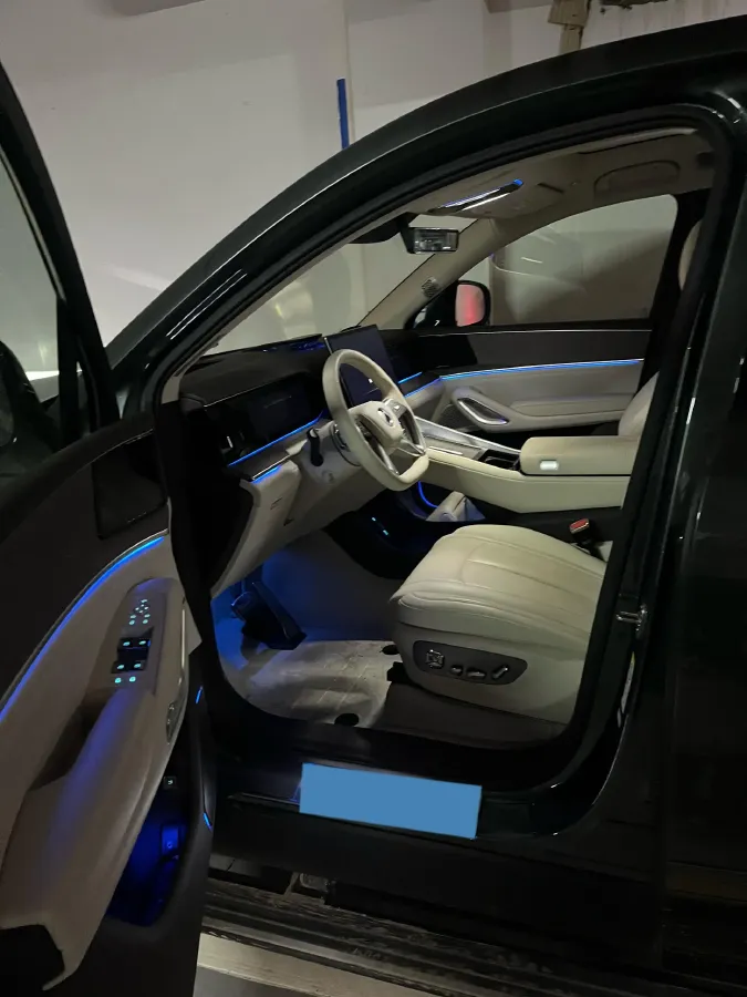 2025 Denza DenzaN9 2.0T 207HP L4 E-CVT PHEV,autocango,china used car exporter,china ev exporter,chinese used car exporter,chinese used ev exporter