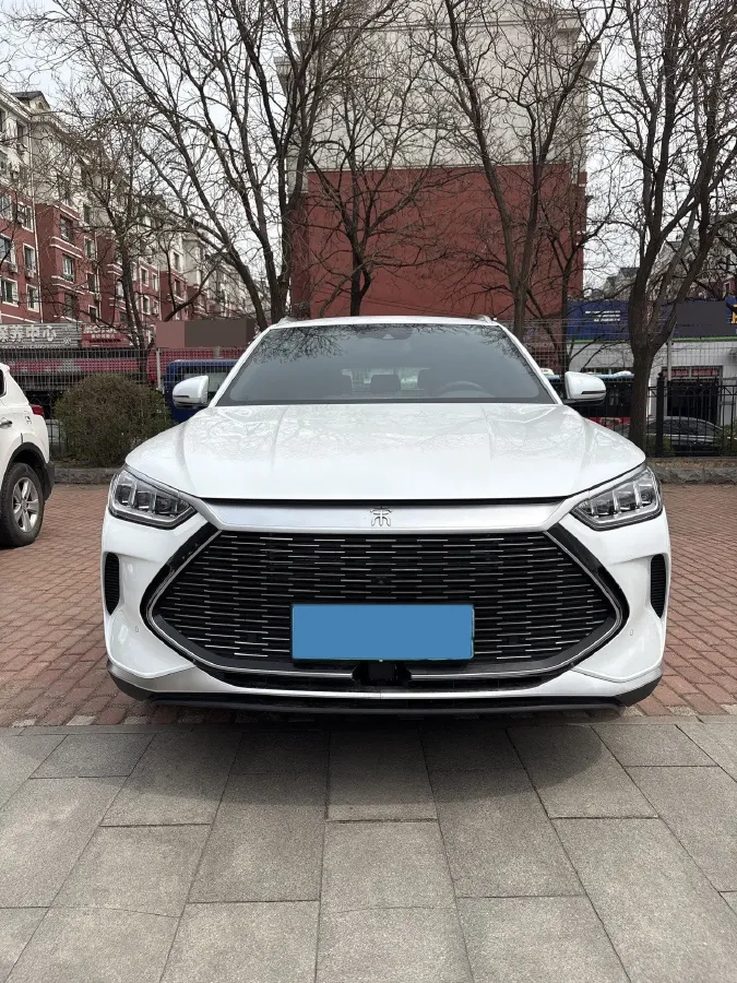 2021 BYD Qin BEV 53.56KWH,autocango,china used car exporter,china ev exporter,chinese used car exporter,chinese used ev exporter