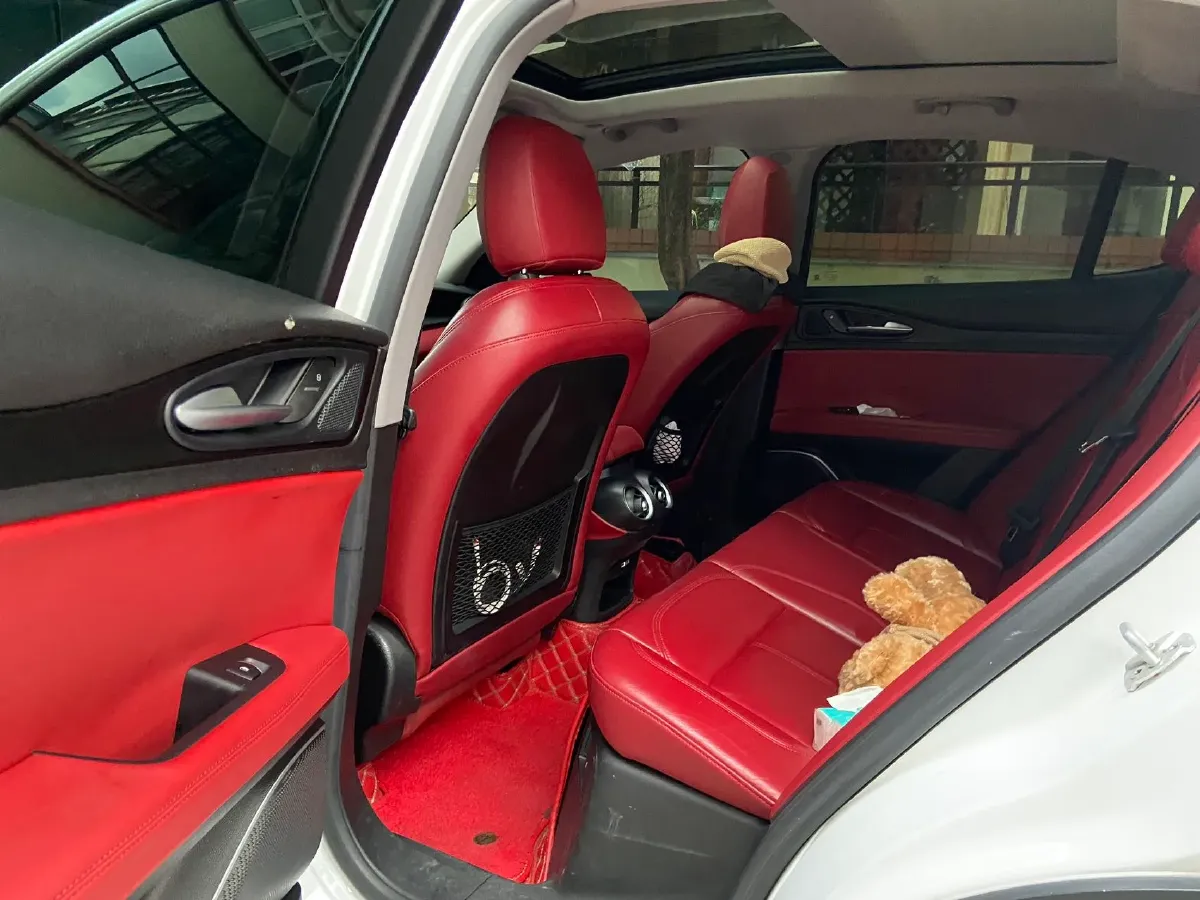 2017 Lexus NX 2.0T 238HP L4 6AT,autocango,china used car exporter,china ev exporter,chinese used car exporter,chinese used ev exporter