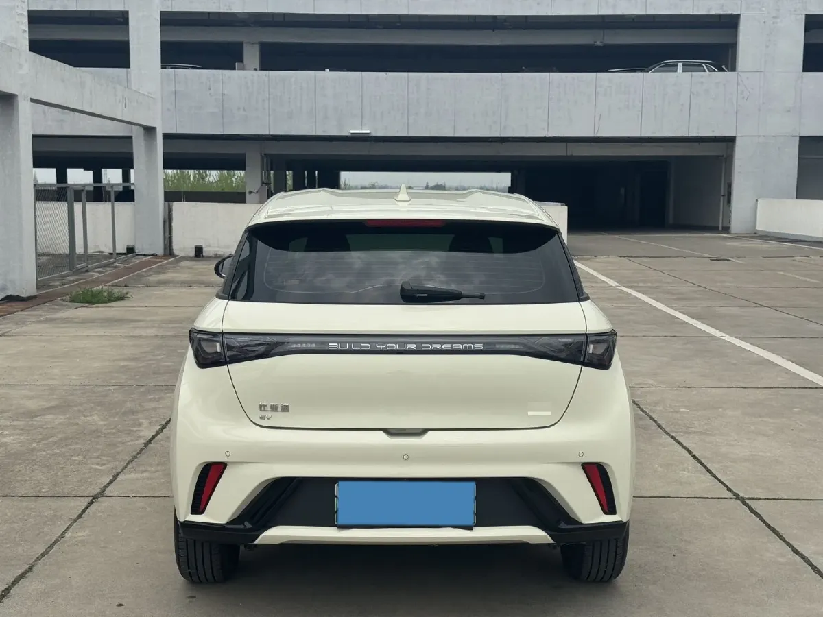 2025 BYD Dolphin BEV 44.928KWH,autocango,china used car exporter,china ev exporter,chinese used car exporter,chinese used ev exporter