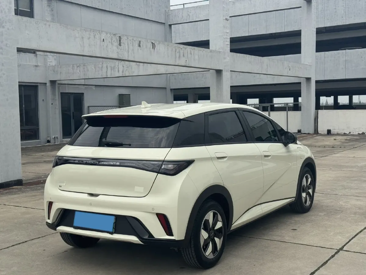 2025 BYD Dolphin BEV 44.928KWH,autocango,china used car exporter,china ev exporter,chinese used car exporter,chinese used ev exporter