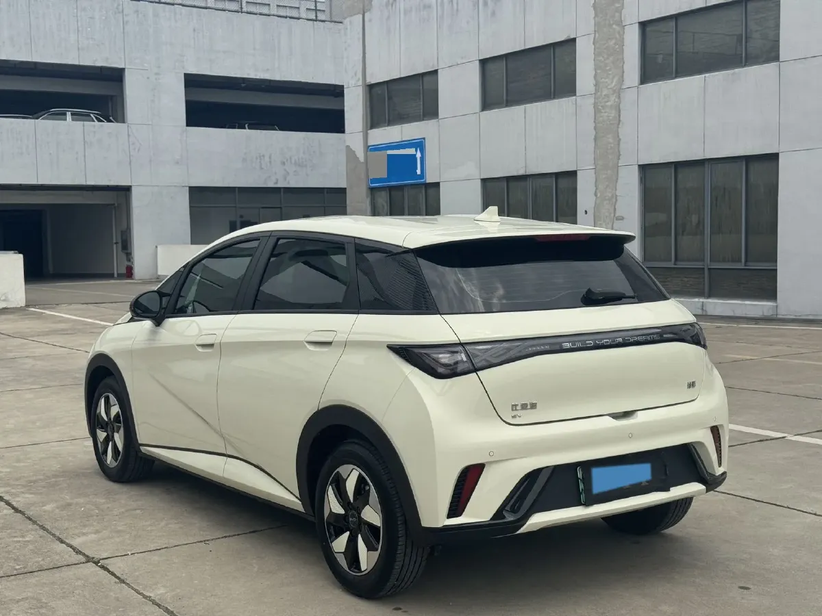 2025 BYD Dolphin BEV 44.928KWH,autocango,china used car exporter,china ev exporter,chinese used car exporter,chinese used ev exporter