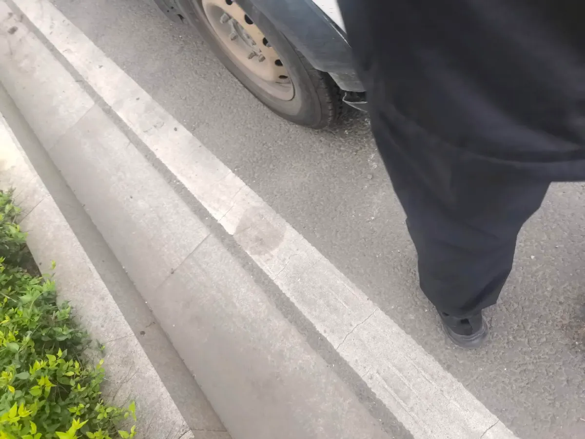 2019 Karry Dolphin EV BEV 44.5KWH,autocango,china used car exporter,china ev exporter,chinese used car exporter,chinese used ev exporter