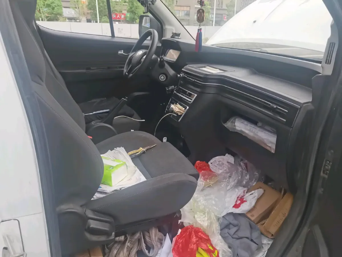 2019 Karry Dolphin EV BEV 44.5KWH,autocango,china used car exporter,china ev exporter,chinese used car exporter,chinese used ev exporter