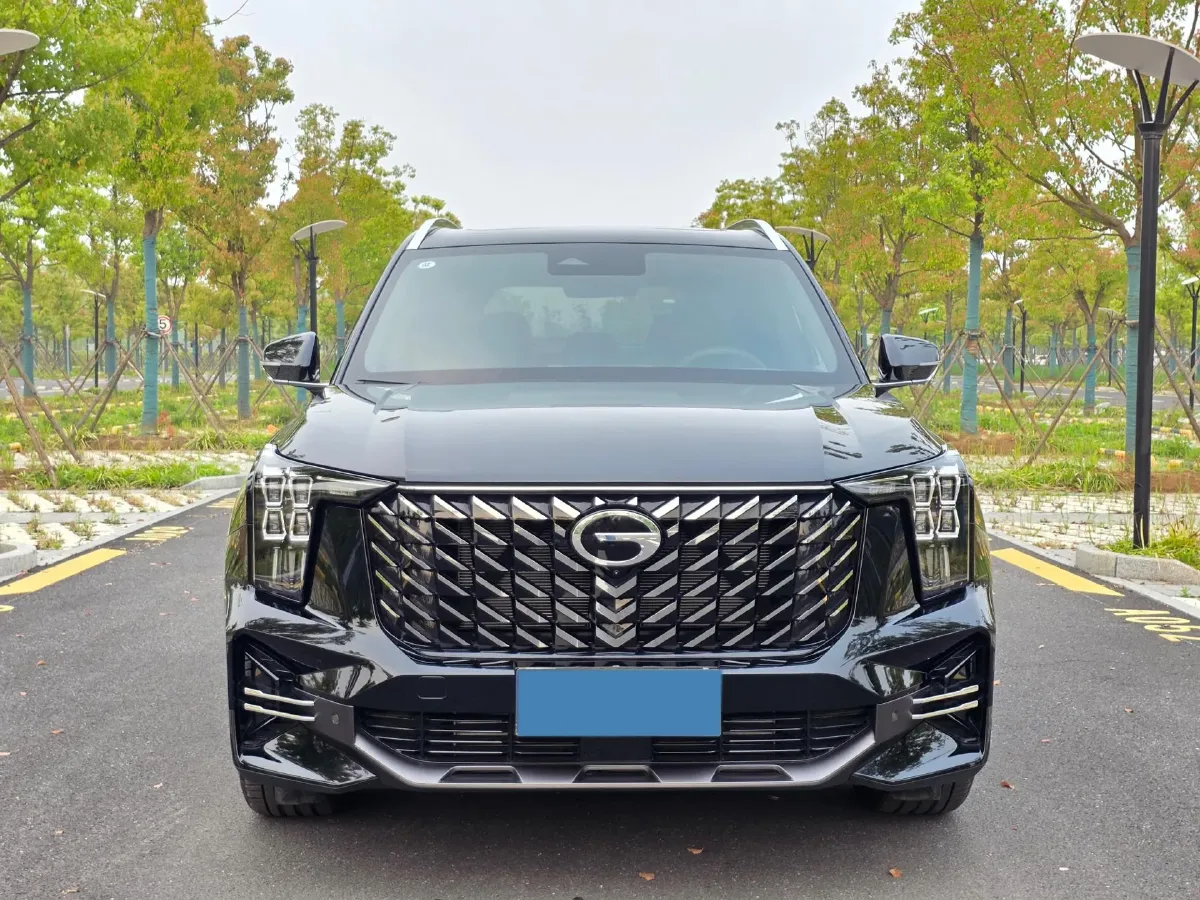 2025 GAC Trumpchi GS8 2.0T 252HP L4 8AT,autocango,china used car exporter,china ev exporter,chinese used car exporter,chinese used ev exporter