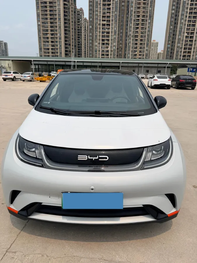 2021 BYD Yuan Pro BEV 50.1KWH,autocango,china used car exporter,china ev exporter,chinese used car exporter,chinese used ev exporter