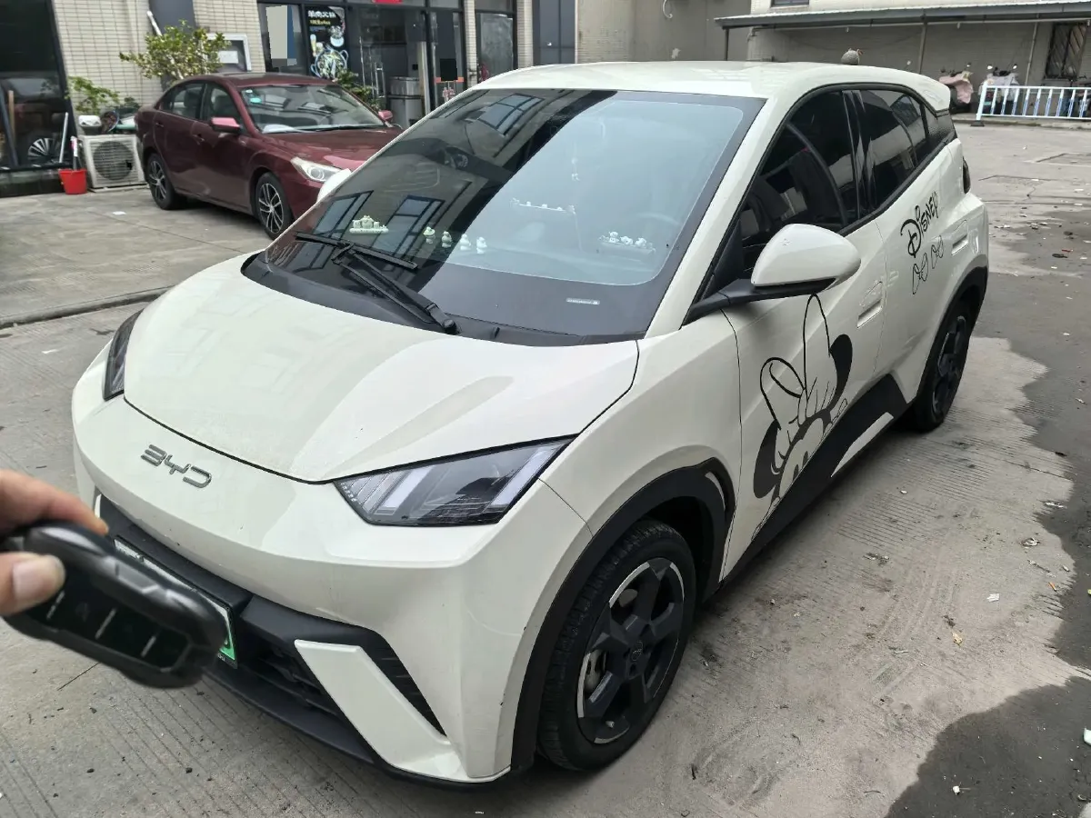 2023 BYD Seagull BEV 38.88KWH,autocango,china used car exporter,china ev exporter,chinese used car exporter,chinese used ev exporter
