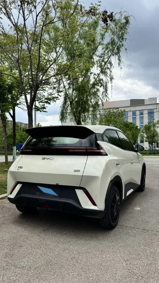 2024 BYD Seagull BEV 30.08KWH,autocango,china used car exporter,china ev exporter,chinese used car exporter,chinese used ev exporter